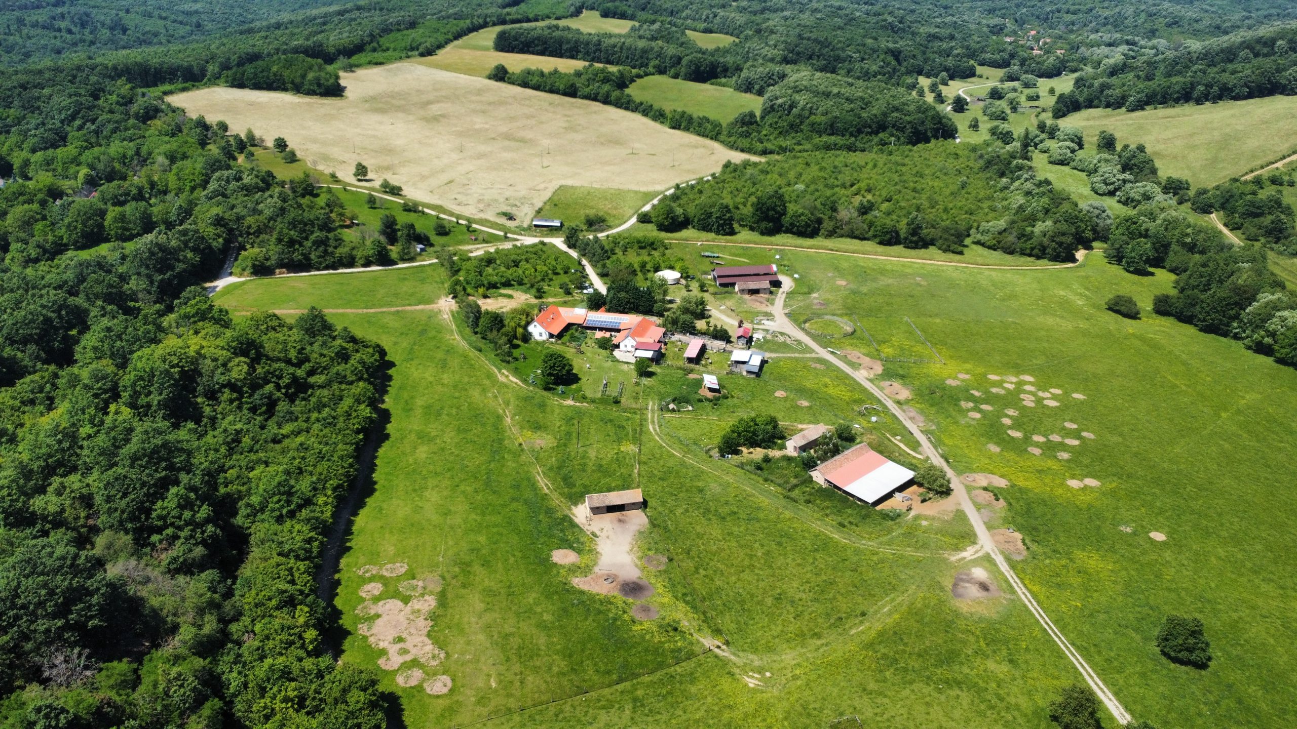 dji_fly_20250604_133812_15_1749037294796_photo_optimized