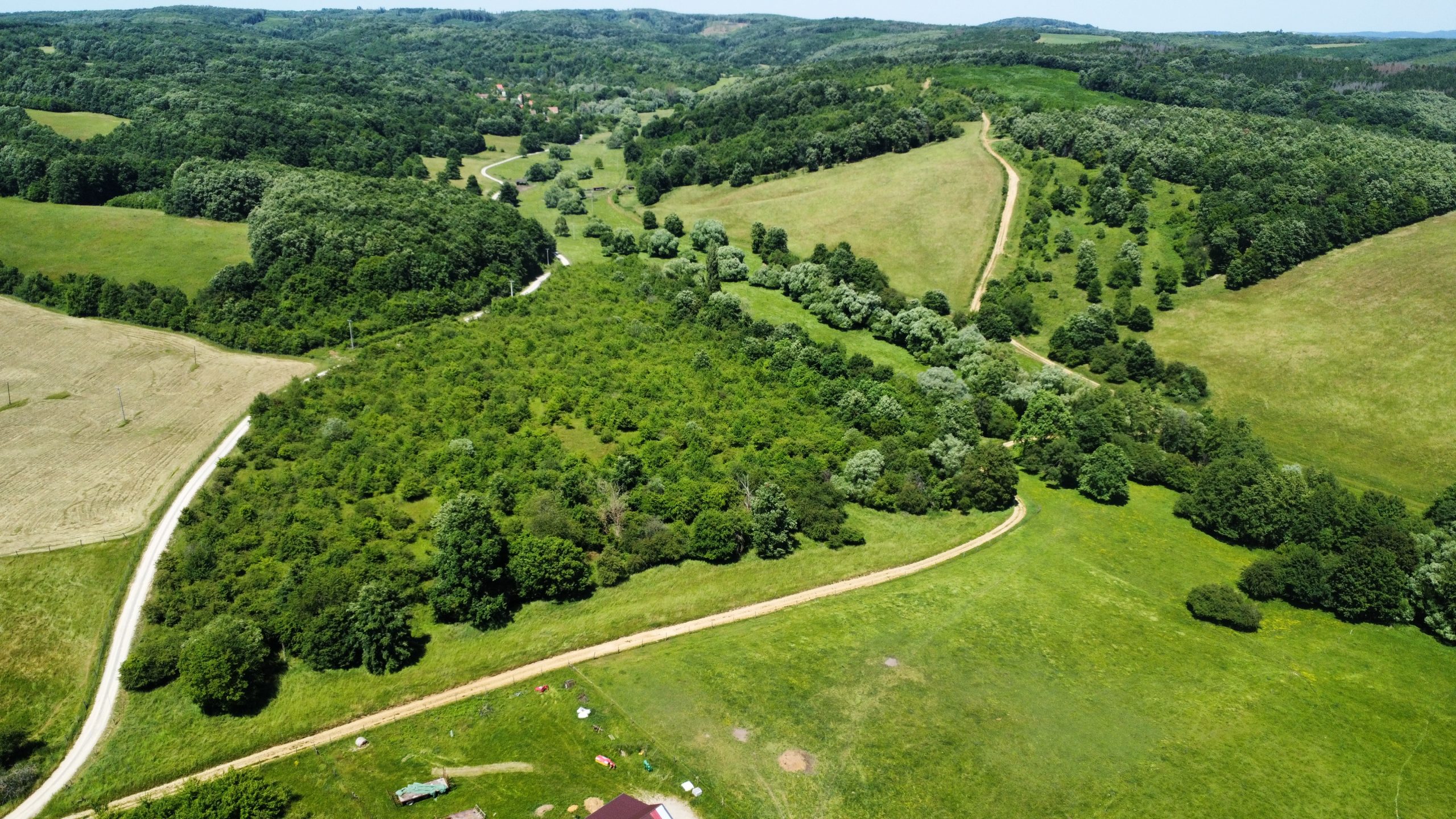 dji_fly_20250604_134346_27_1749037438296_photo_optimized